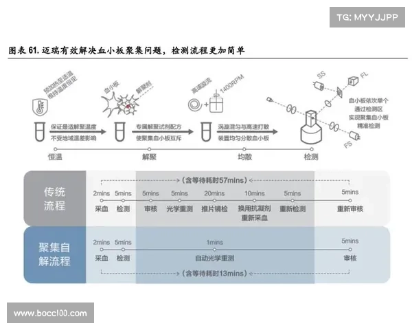 释放潜力掌控赛场 NBA2K13秘籍与修改技巧深度解析 释放潜力掌控赛场 NBA2K13秘籍与修改技巧深度解析